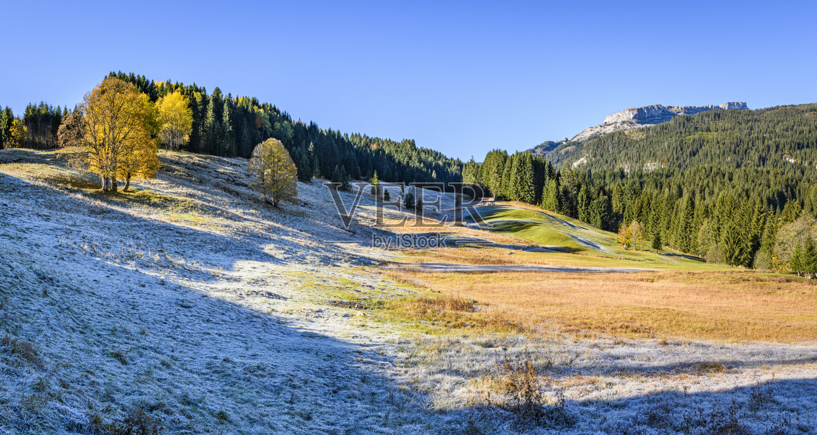 风景与霜冻在早晨照片摄影图片