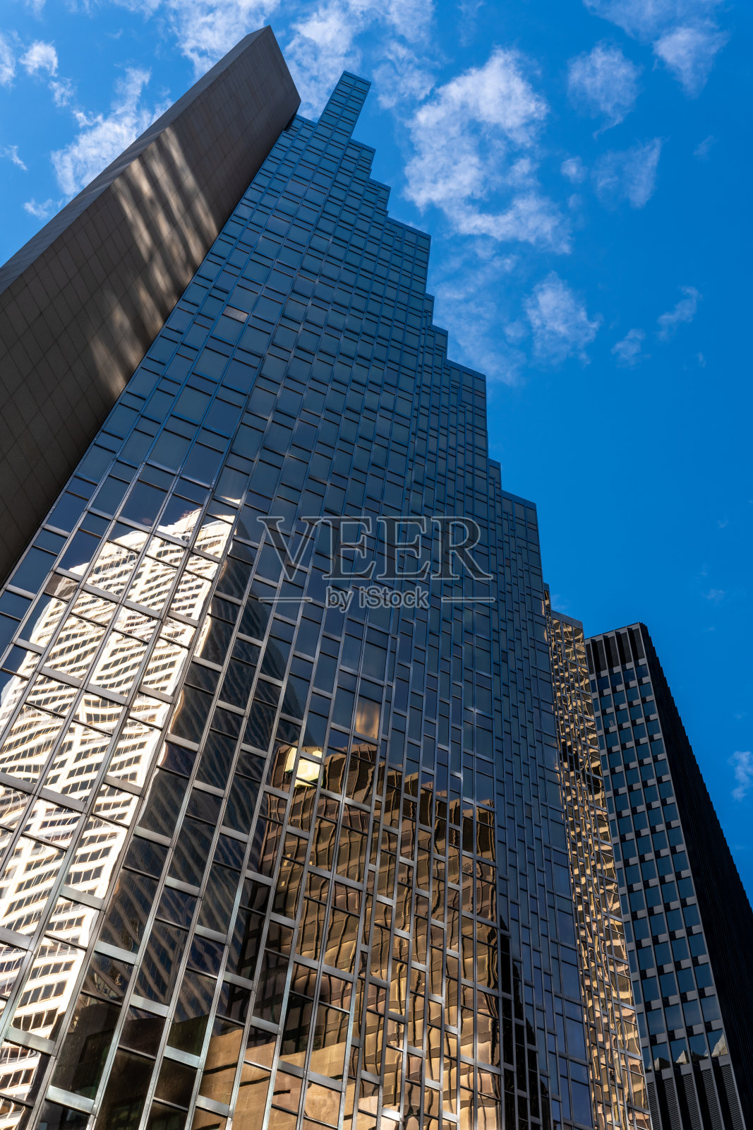 多伦多的摩天大楼。照片摄影图片