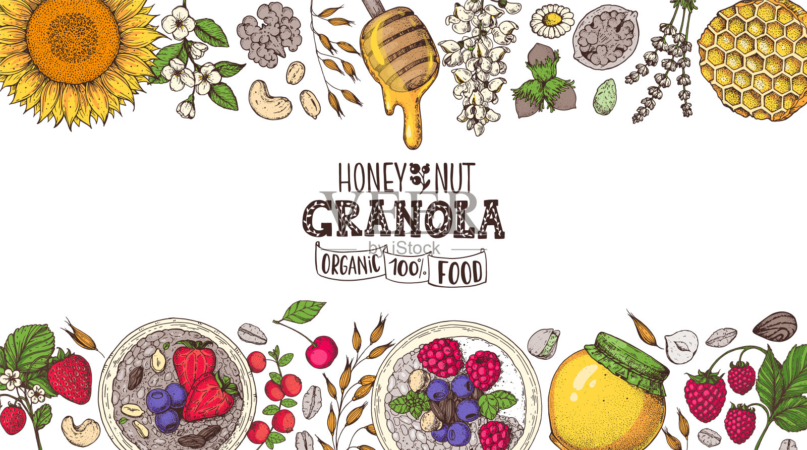 燕麦成分说明。燕麦片,浆果,水果和坚果手工绘制。格兰诺拉早餐顶视图框架。什锦麦片菜单设计。手绘矢量插图。格兰诺拉麦片五颜六色的设计插画图片素材