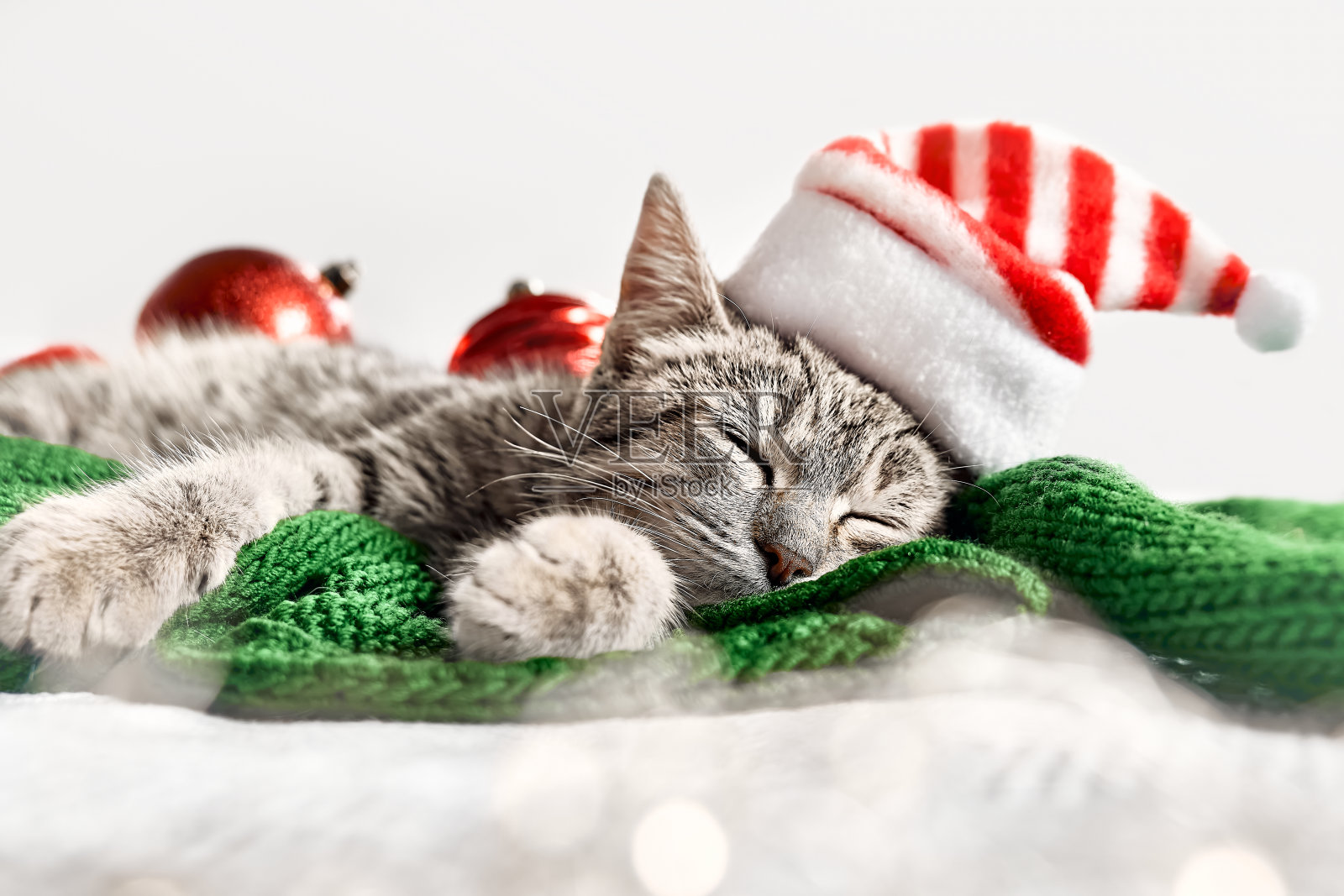 可爱的虎斑猫睡在绿色羊毛格子与圣诞老人帽和红色的球。前景中的散焦圣诞灯。快乐的寒假。照片摄影图片