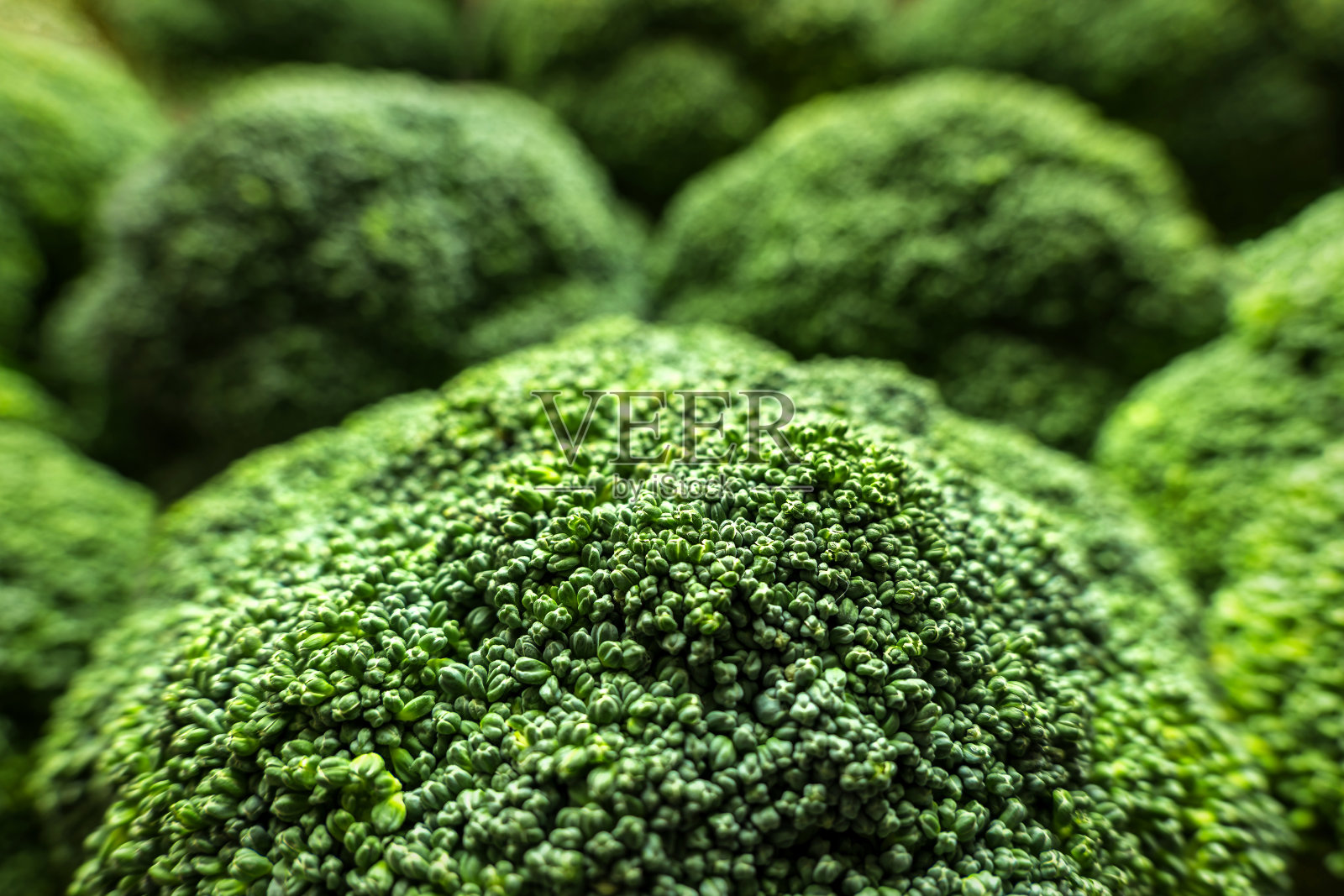 新鲜的绿色西兰花蔬菜背景关闭照片摄影图片