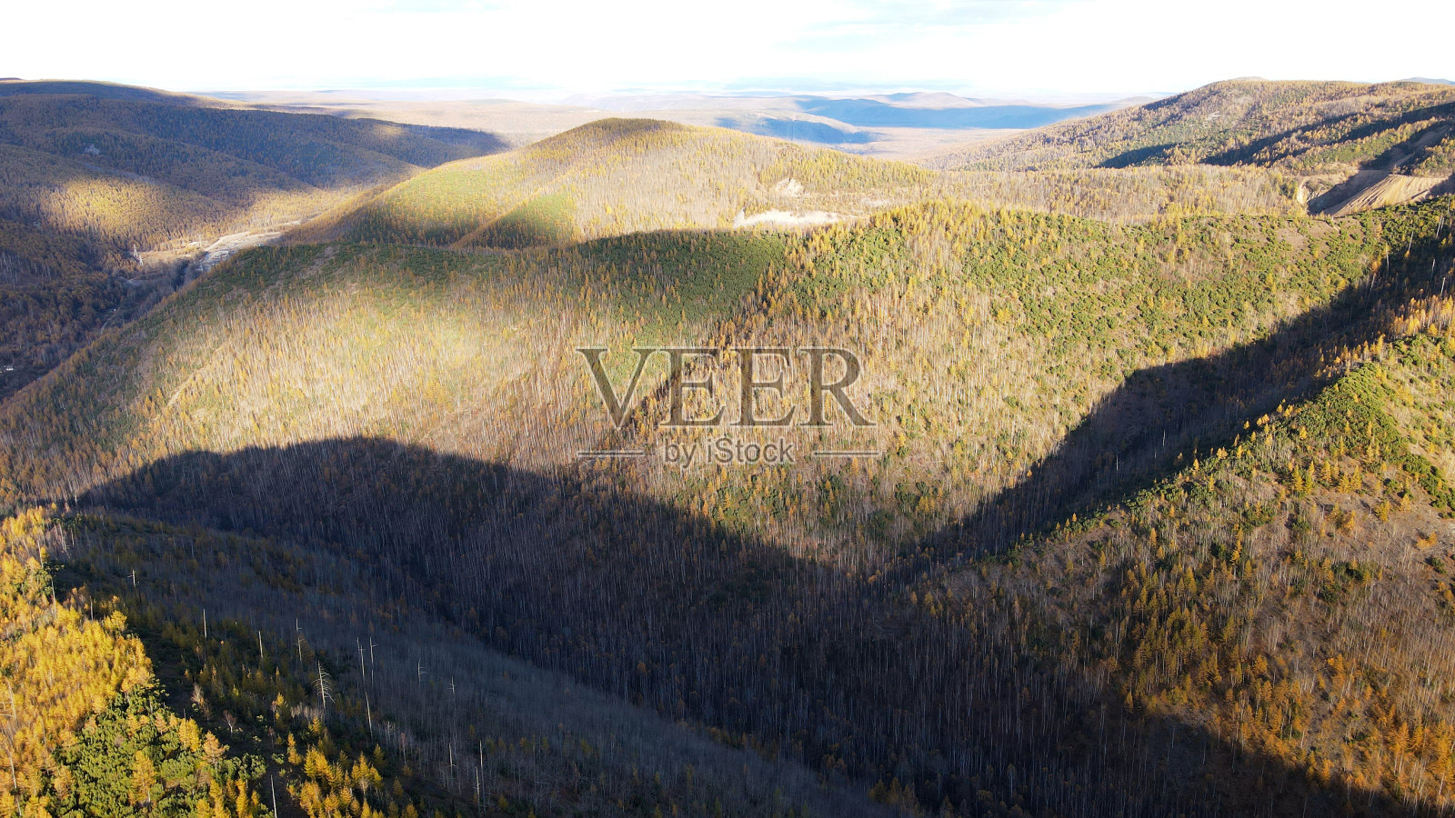 鸟瞰图的山脉,秋天,彩色的黄色森林在山谷日落,俄罗斯,布林斯基山脊,霍勒多米照片摄影图片