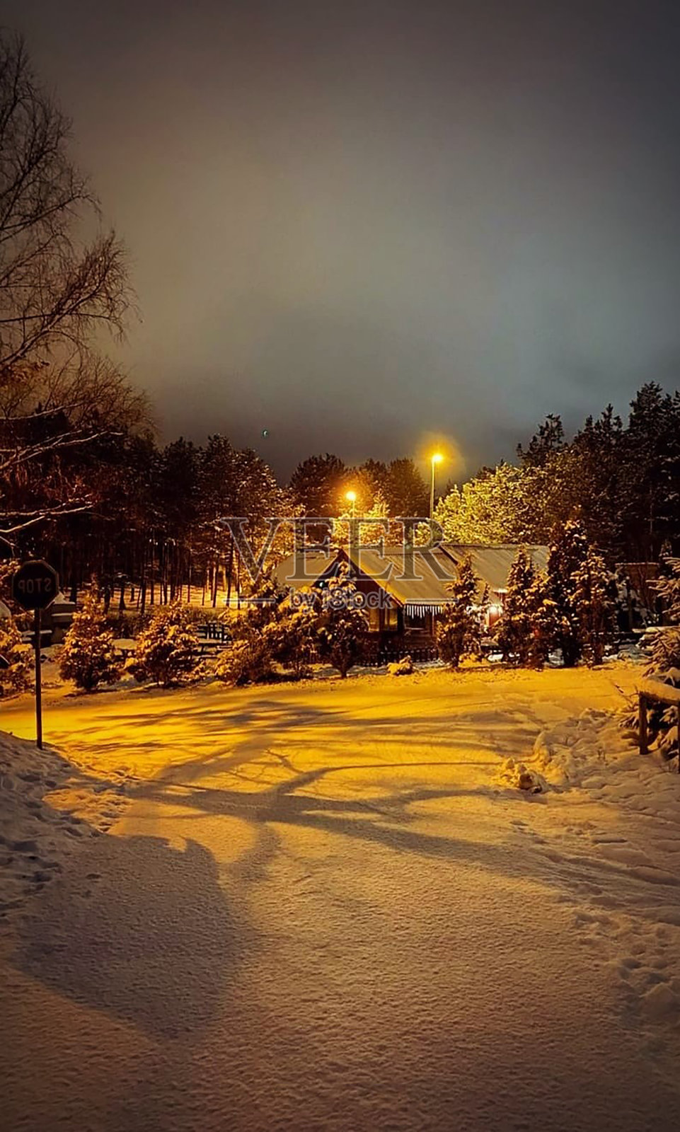 兹拉提博森林之路照片摄影图片