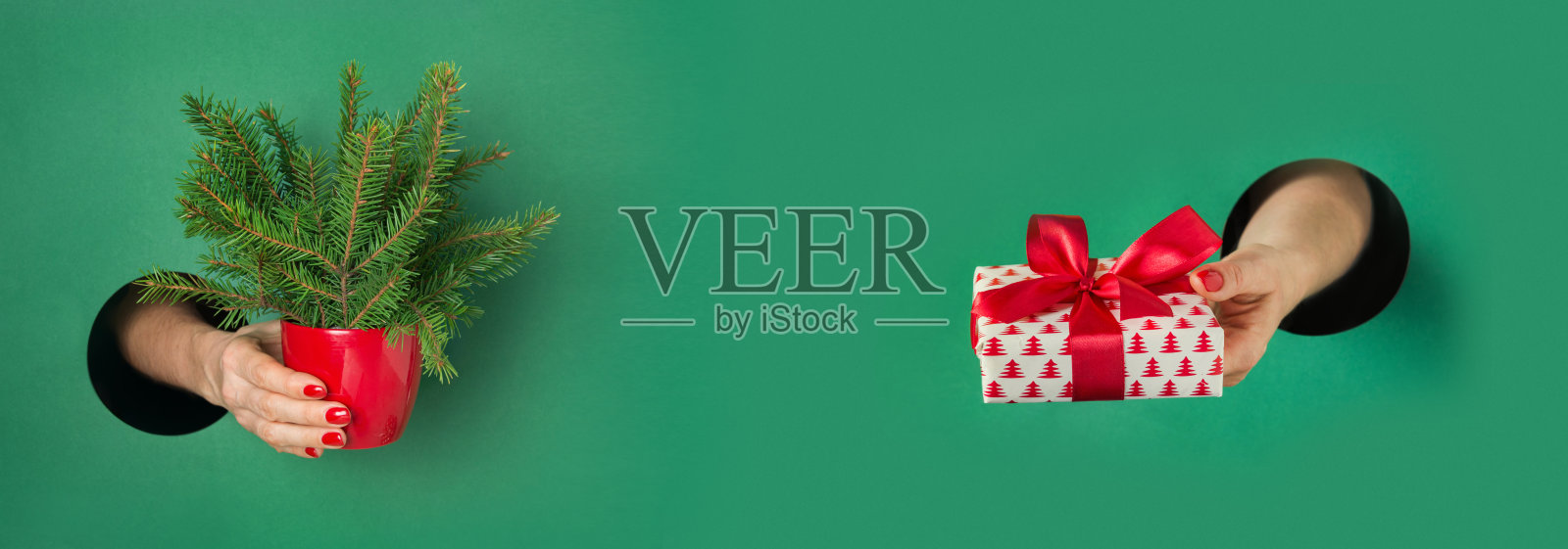 另一种圣诞树和礼物在妇女手中从绿色的纸圆洞。圣诞标语。照片摄影图片