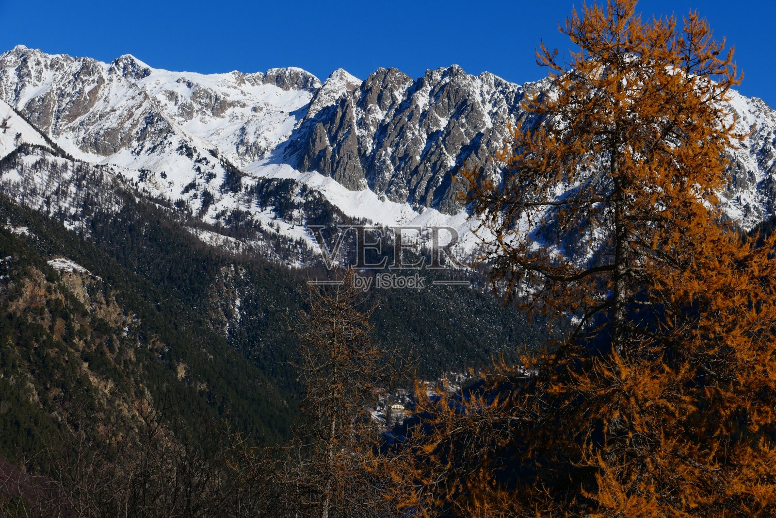 落叶松在深秋和Mercantour山峰后面的Boréon山谷,阿尔卑斯-海事照片摄影图片