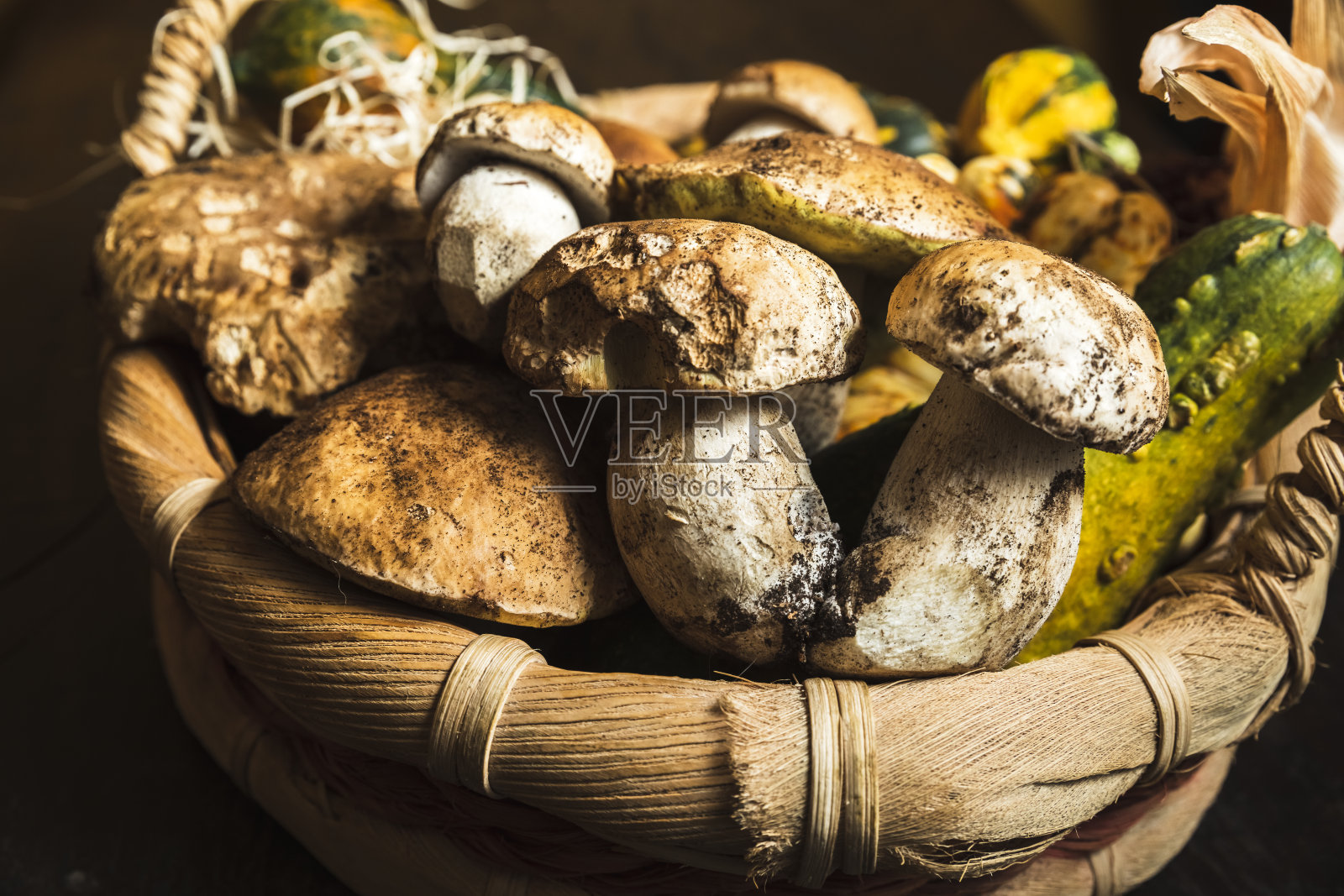 篮子里有新鲜的牛肝菌照片摄影图片