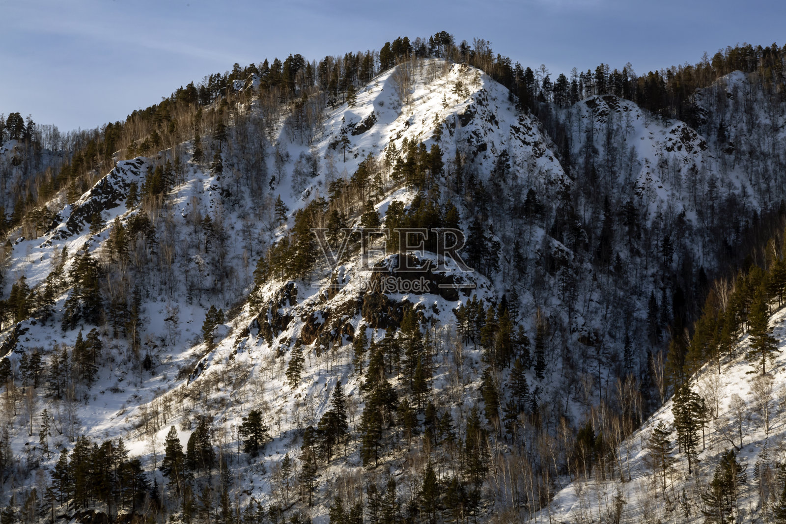 森林和积雪覆盖的山脉。天气、气候。照片摄影图片