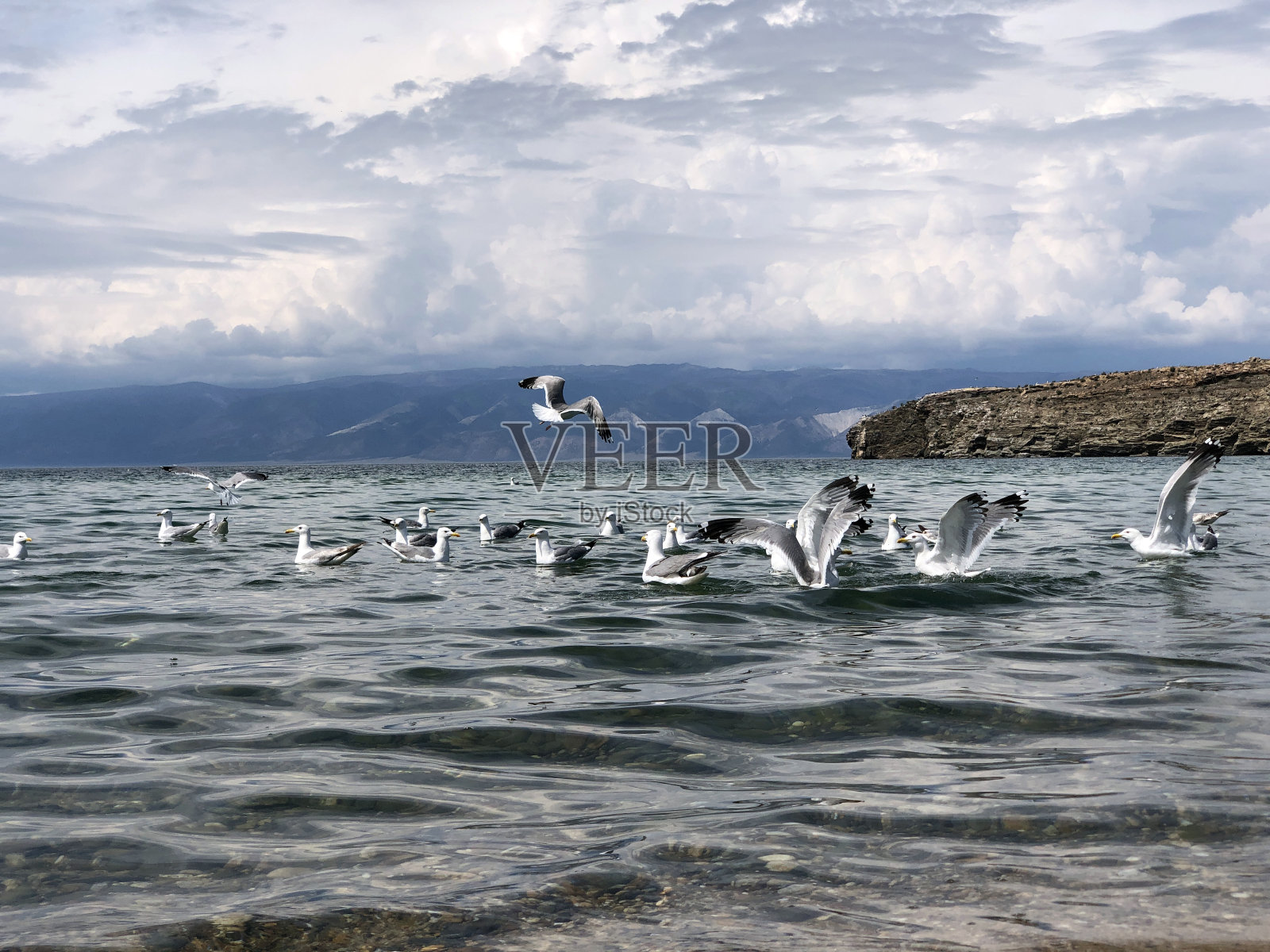 一群海鸥从贝加尔湖上空飞过照片摄影图片