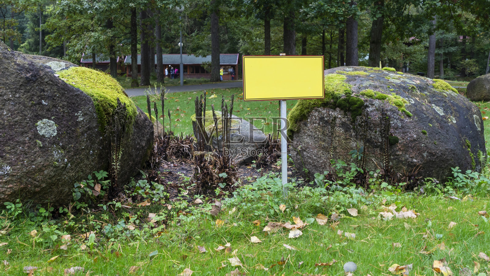 在草地上的空标志牌上有文字说明的空间。带有禁止复制空间的公告板。照片摄影图片