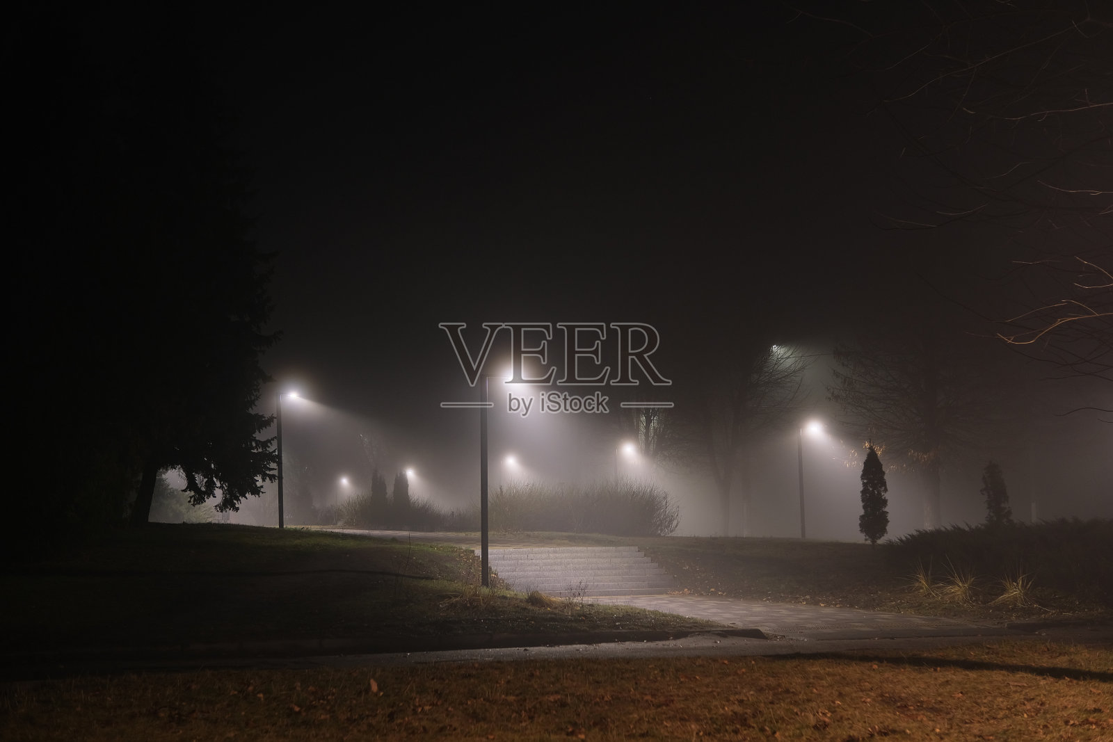 雾蒙蒙的夜晚,路灯路灯,空无一人的道路照片摄影图片