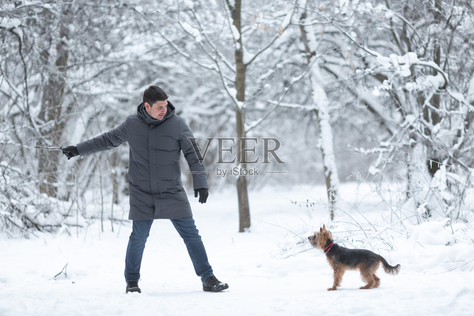 一个男人和一只狗玩照片摄影图片
