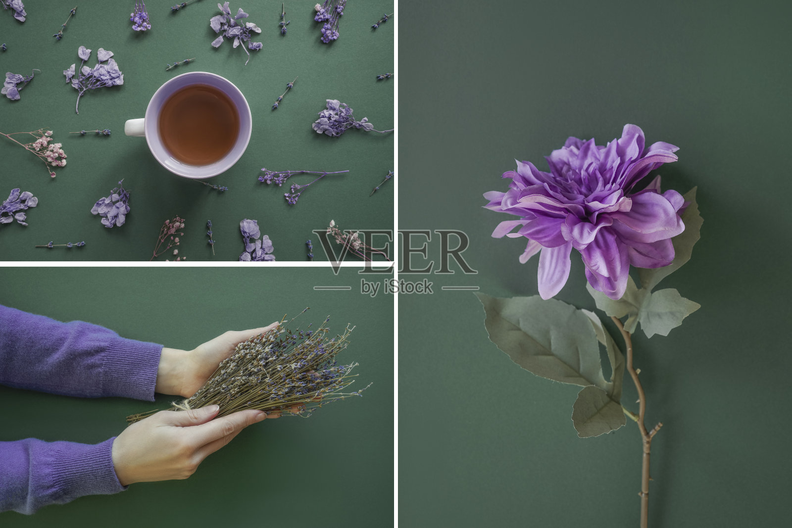 从照片拼贴,紫紫时髦的颜色2022。照片摄影图片