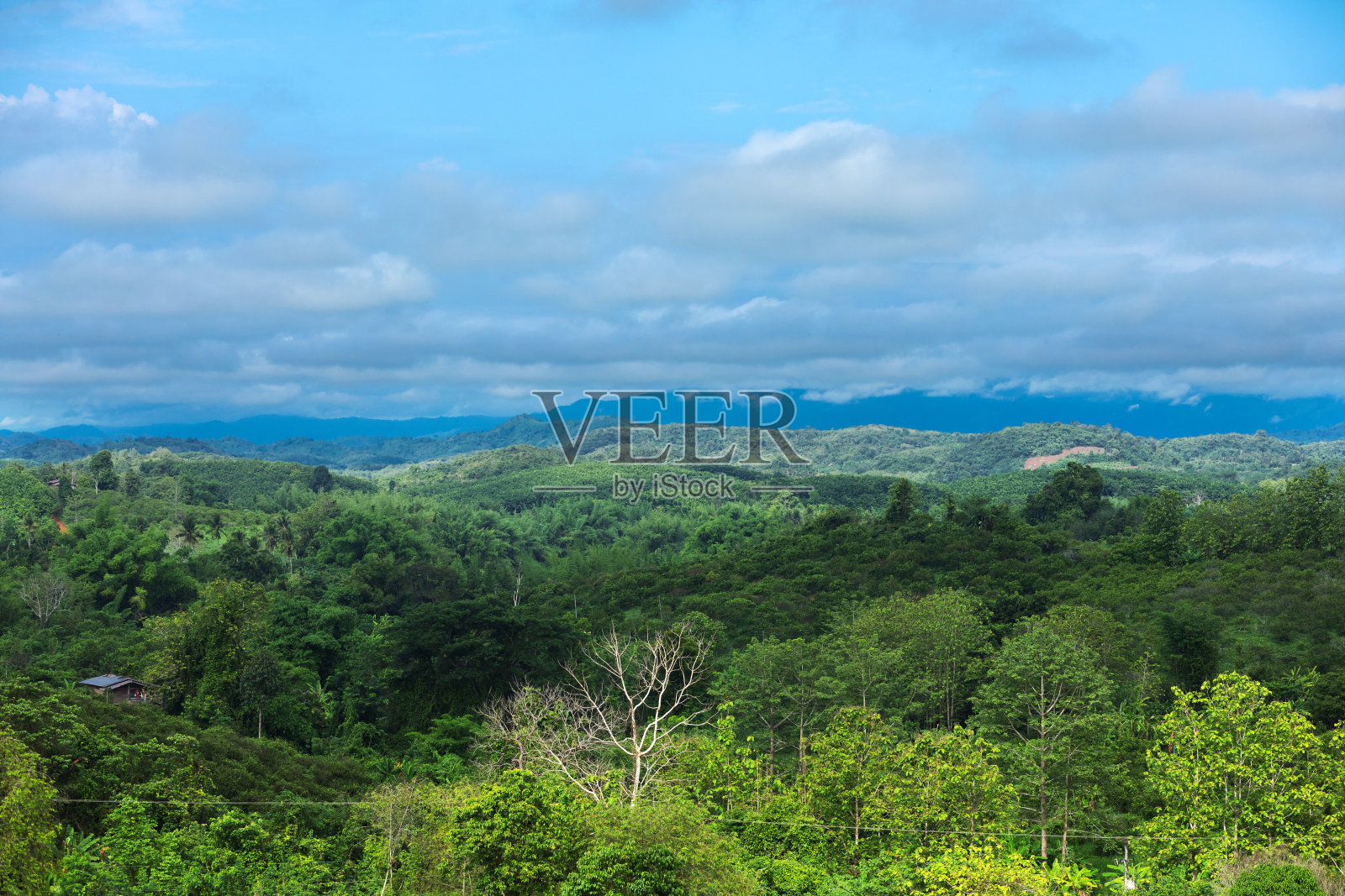清晨在素可泰的绿色和风景中照片摄影图片