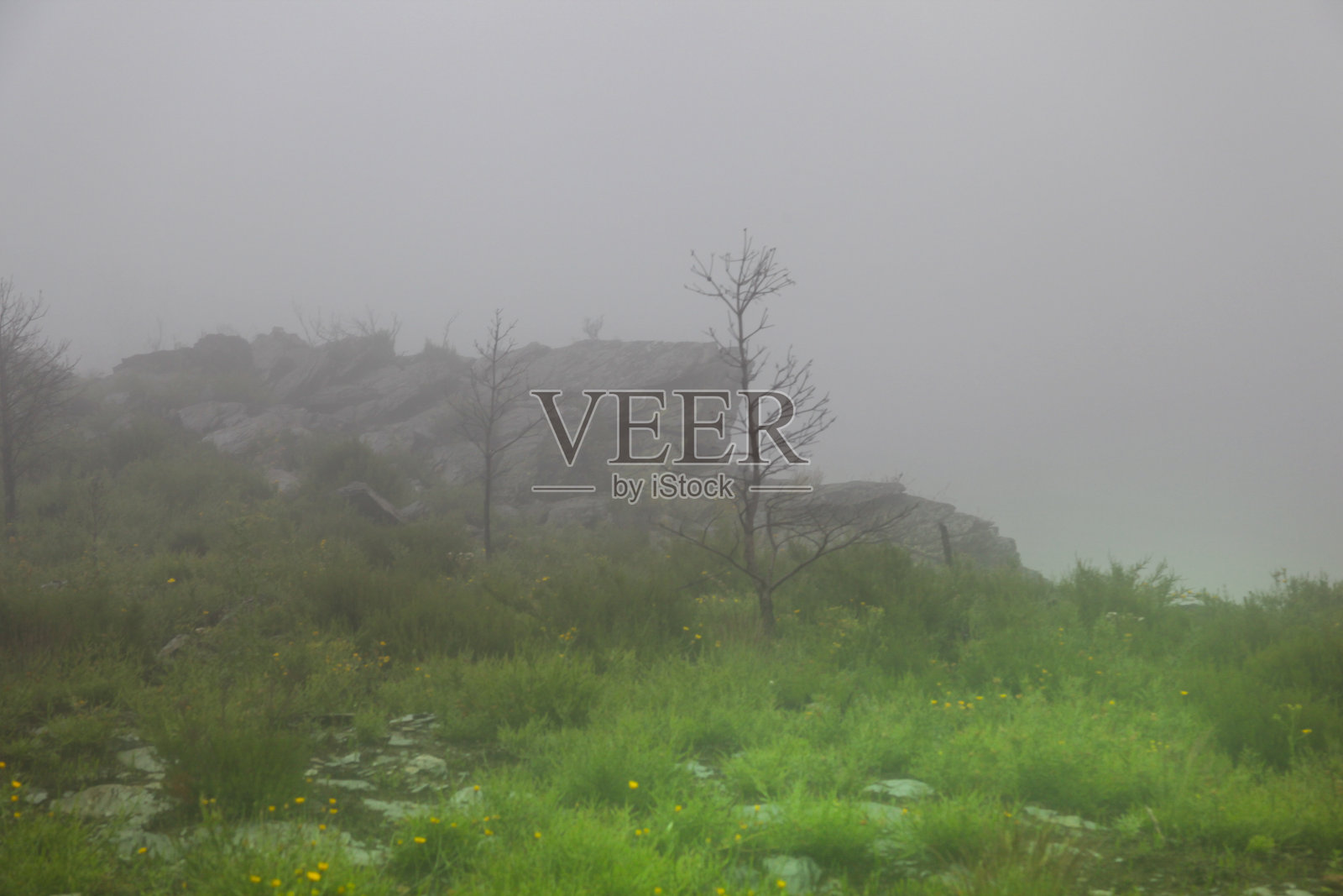 雾中岩石的剪影照片摄影图片