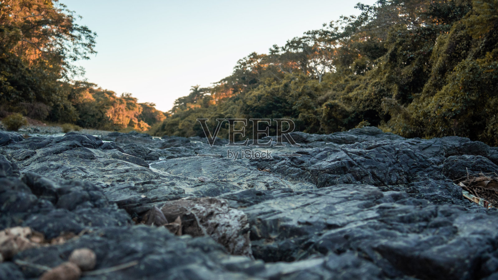 自然美景照片摄影图片
