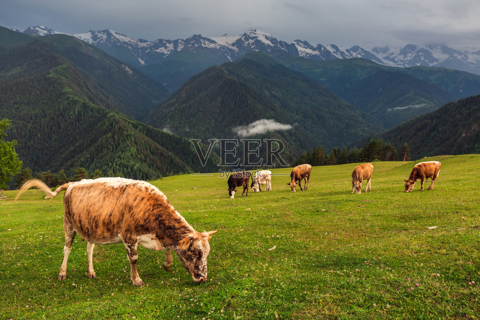 主要是佐治亚的热门旅游景点照片摄影图片