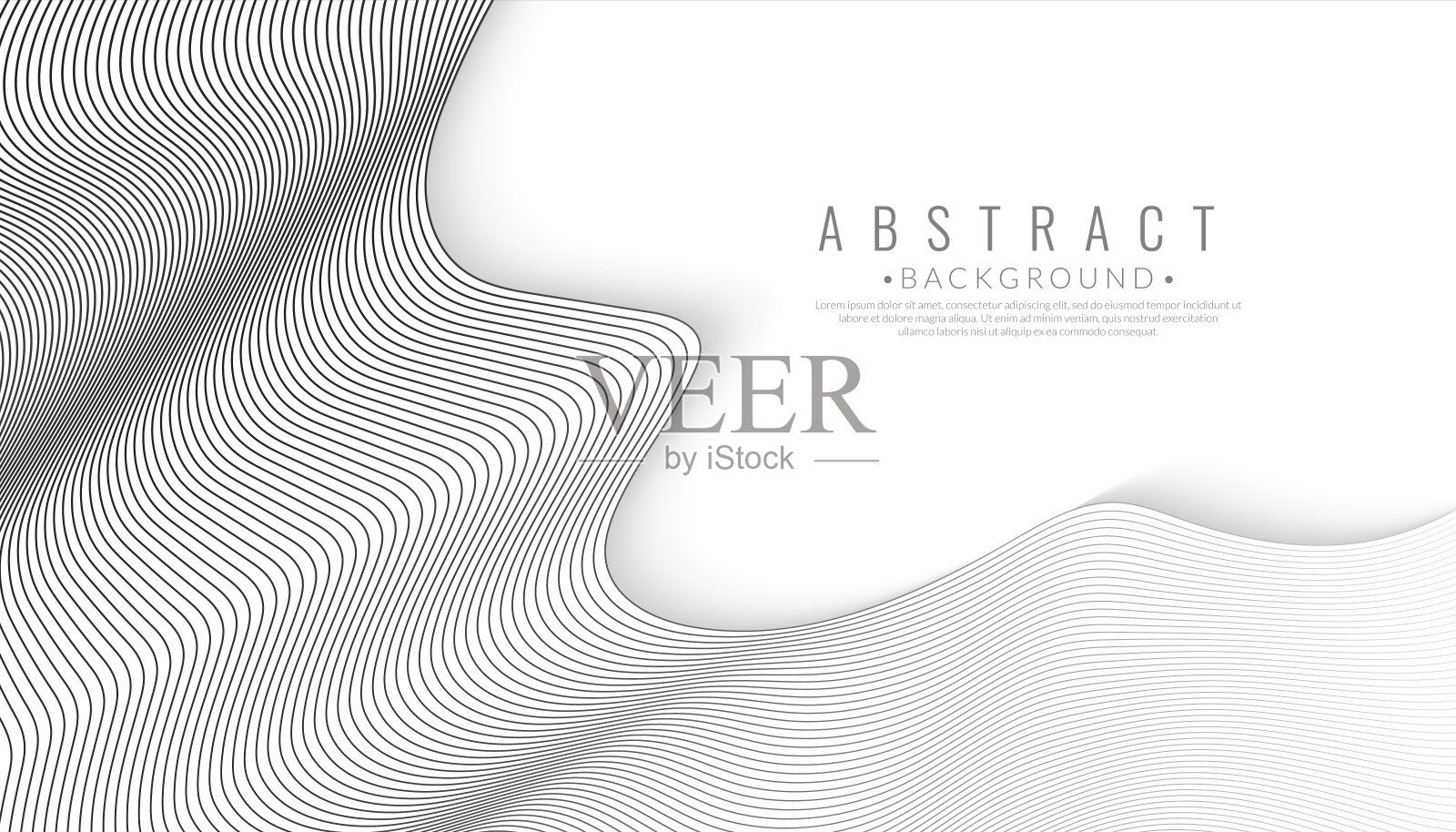 抽象优雅的灰色背景与流动的线条波。现代插图向量。插画图片素材