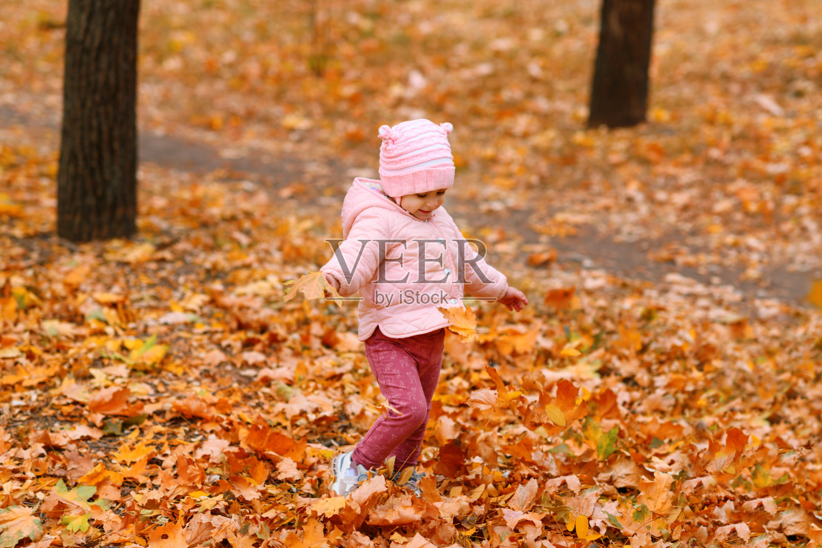 小女孩在秋天的城市公园里散步。大自然美丽,树木长着黄叶。照片摄影图片