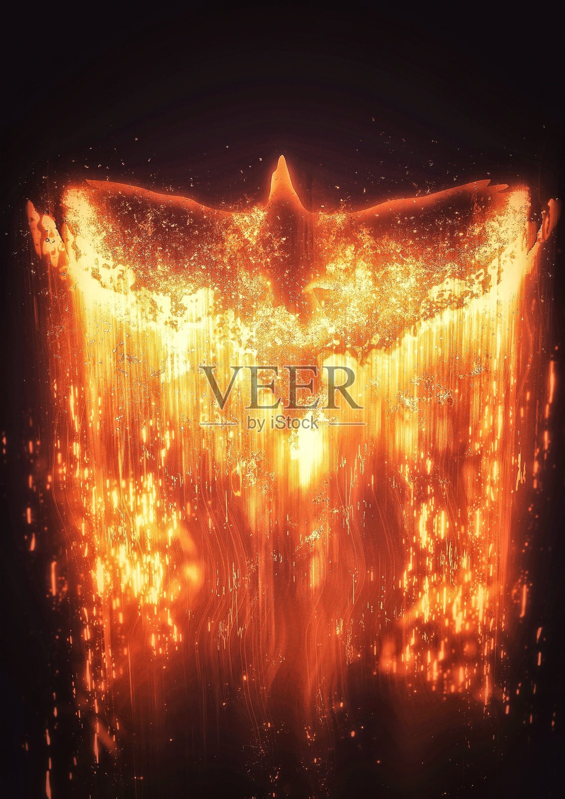 扑打着的火鸟的插图照片摄影图片