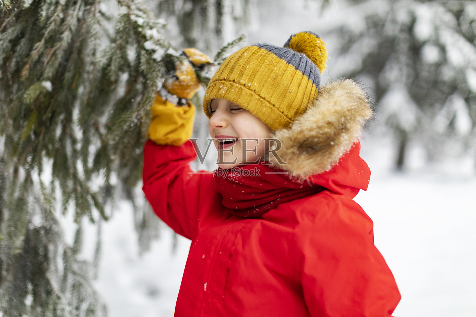 小男孩在冬天的森林里玩耍照片摄影图片