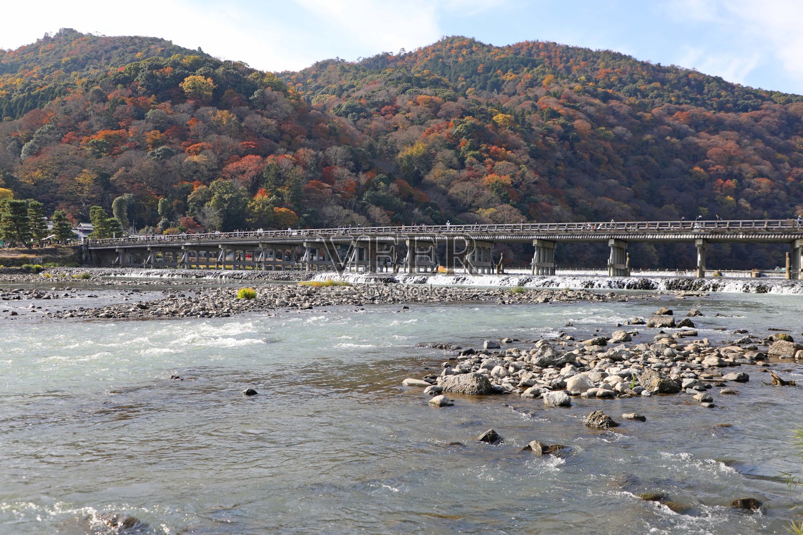 秋叶掩映下的渡月桥和岚山照片摄影图片