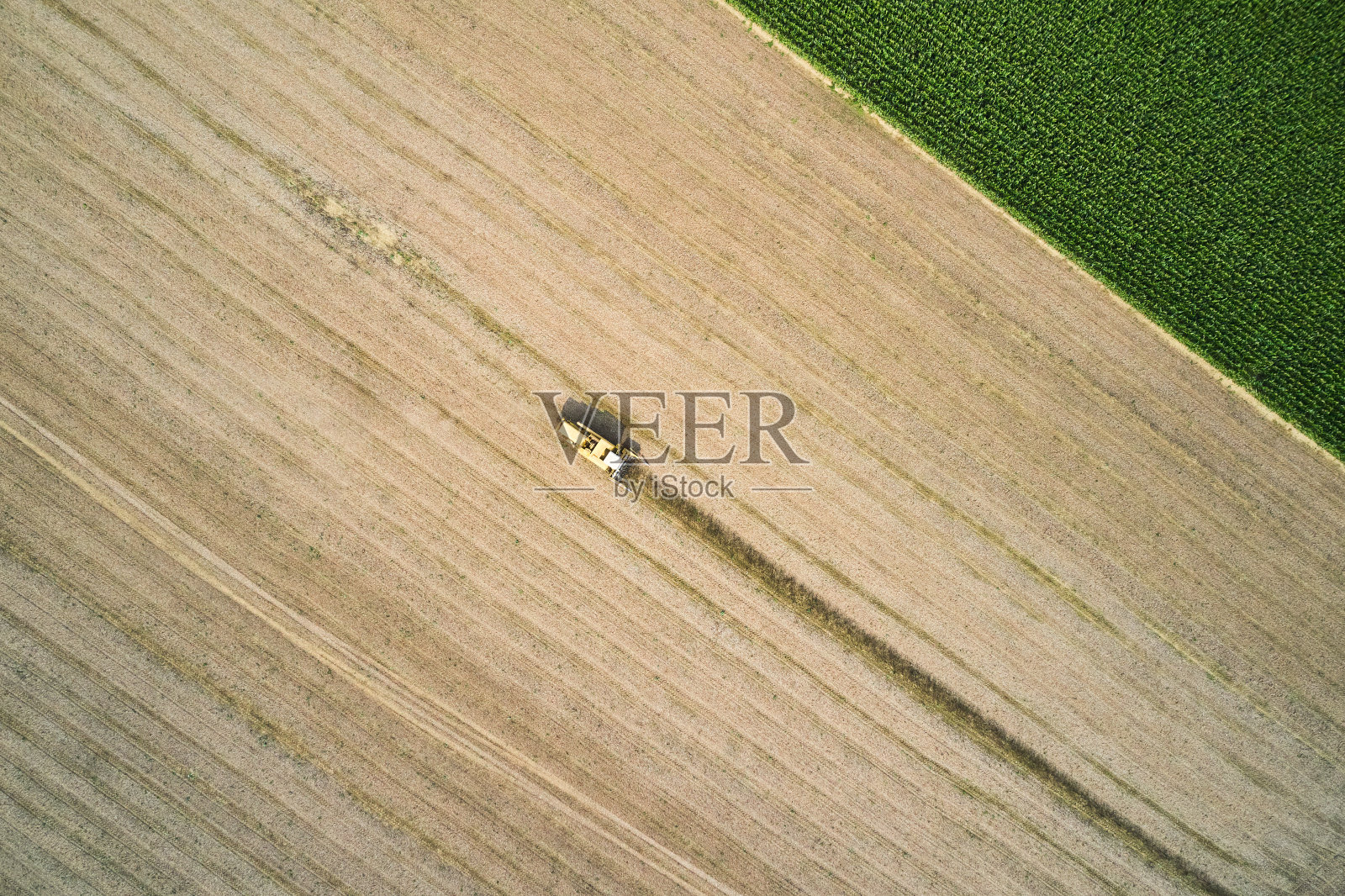 联合收割机收获农田的无人机鸟瞰图照片摄影图片