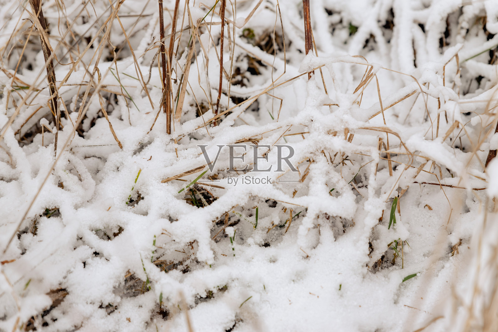 抽象和纹理白色闪亮和闪光的雪背景在阴郁的日子冬季风景照片摄影图片
