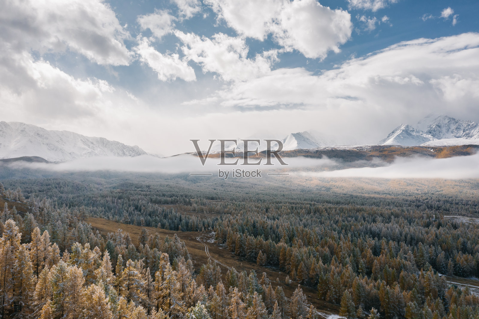 无人机拍摄的白雪覆盖的森林和山脉照片摄影图片