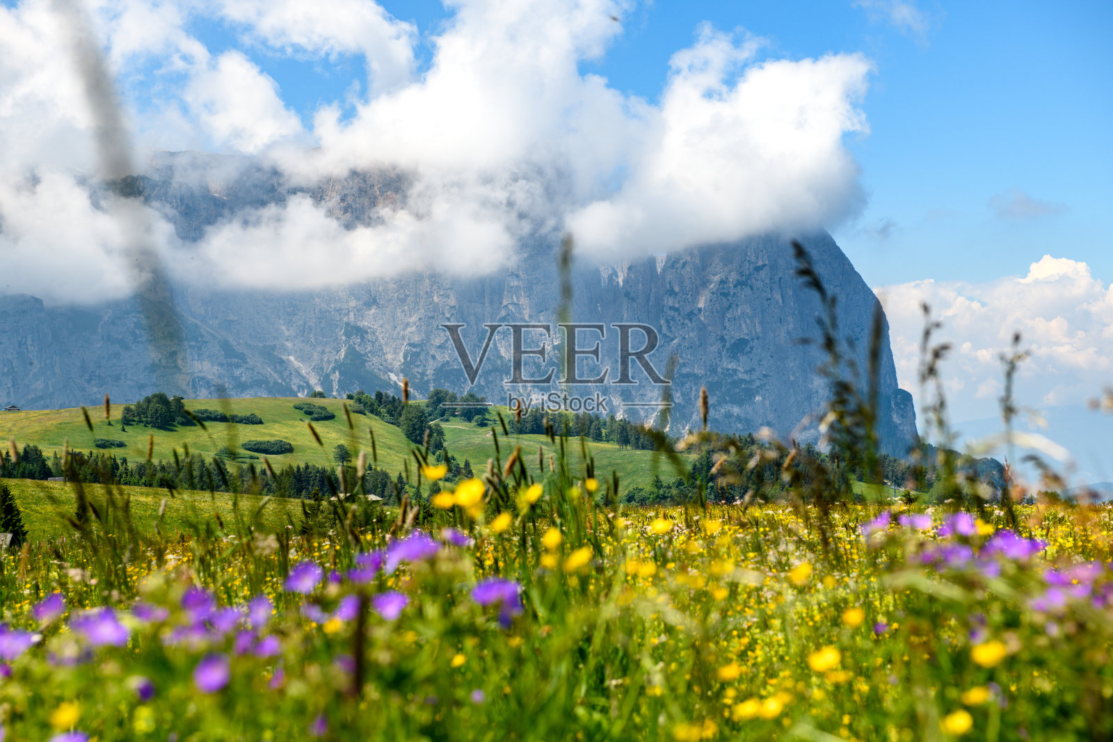 施勒恩|希利亚尔地块 II照片摄影图片