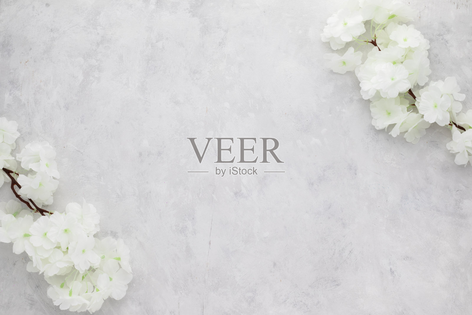 白色的花在白色的垃圾背景。平铺,顶视图与复制空间,极简主义照片摄影图片