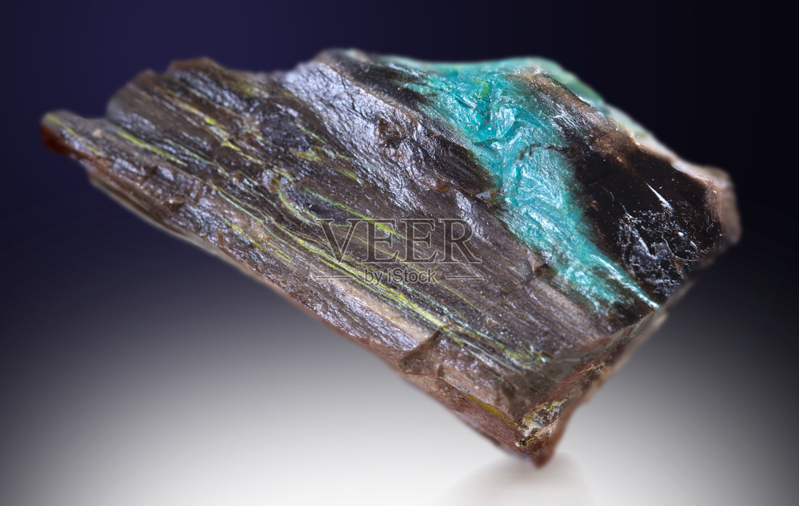 硅化木矿物标本石头岩石地质宝石水晶照片摄影图片