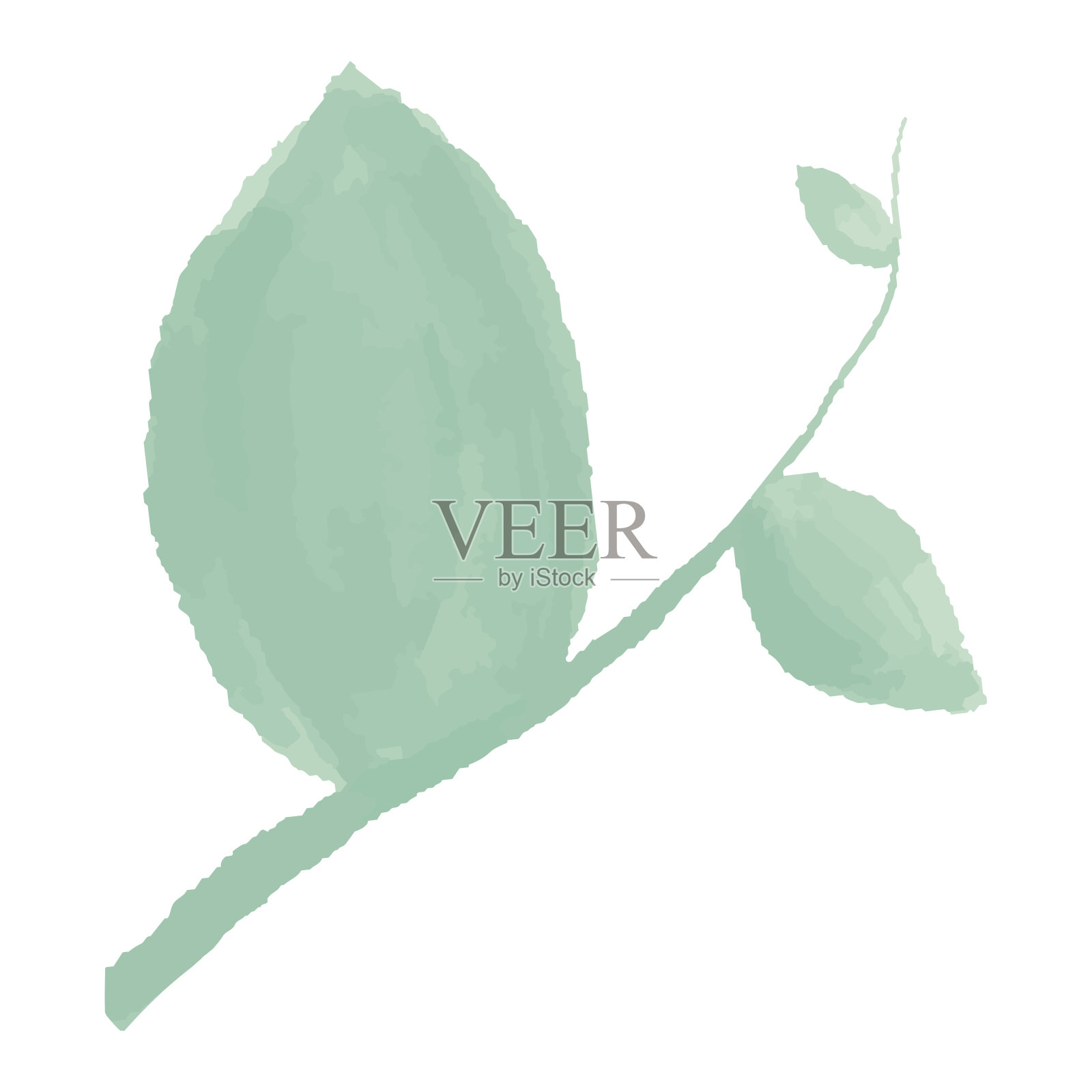 绿色的树枝上有叶子。水彩叶子绿色插画图片素材