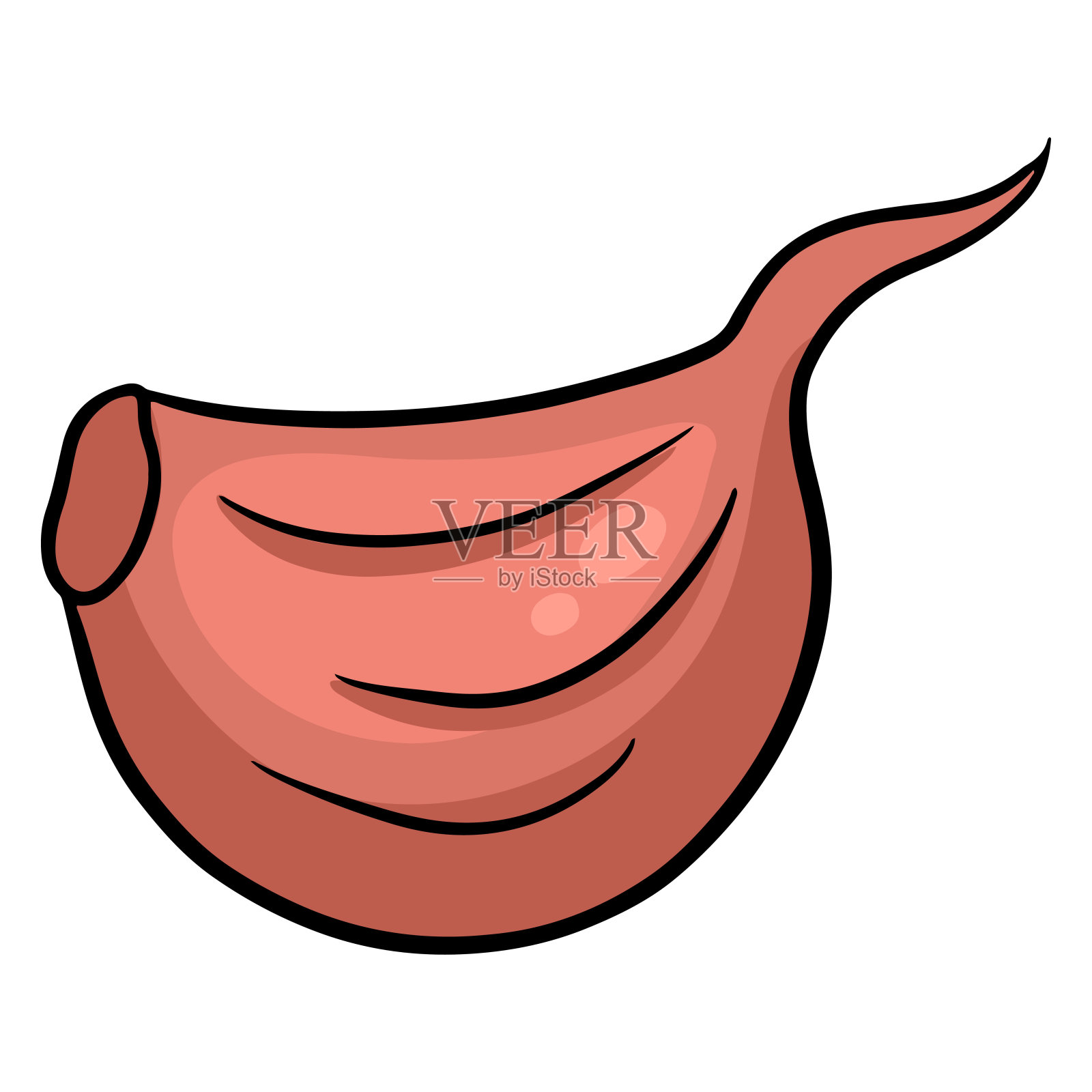 新鲜大蒜。未剥皮的大蒜瓣。厨房的蔬菜原料。设计元素图片