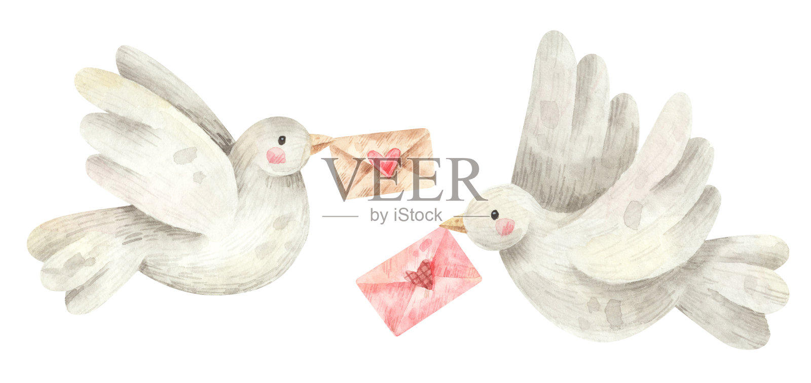 写情书的鸽子插画图片素材