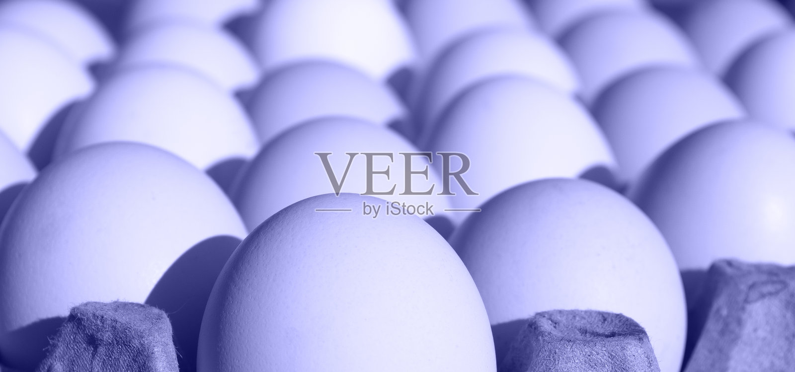 鸡蛋套装在潘通颜色2022非常接近照片摄影图片