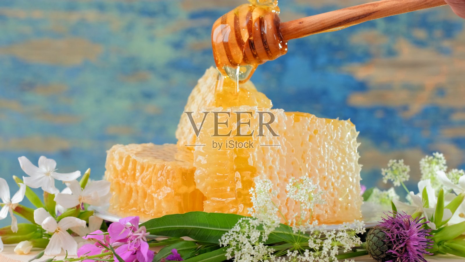 在乡村的背景上有新鲜蜂蜜的蜂巢。照片摄影图片