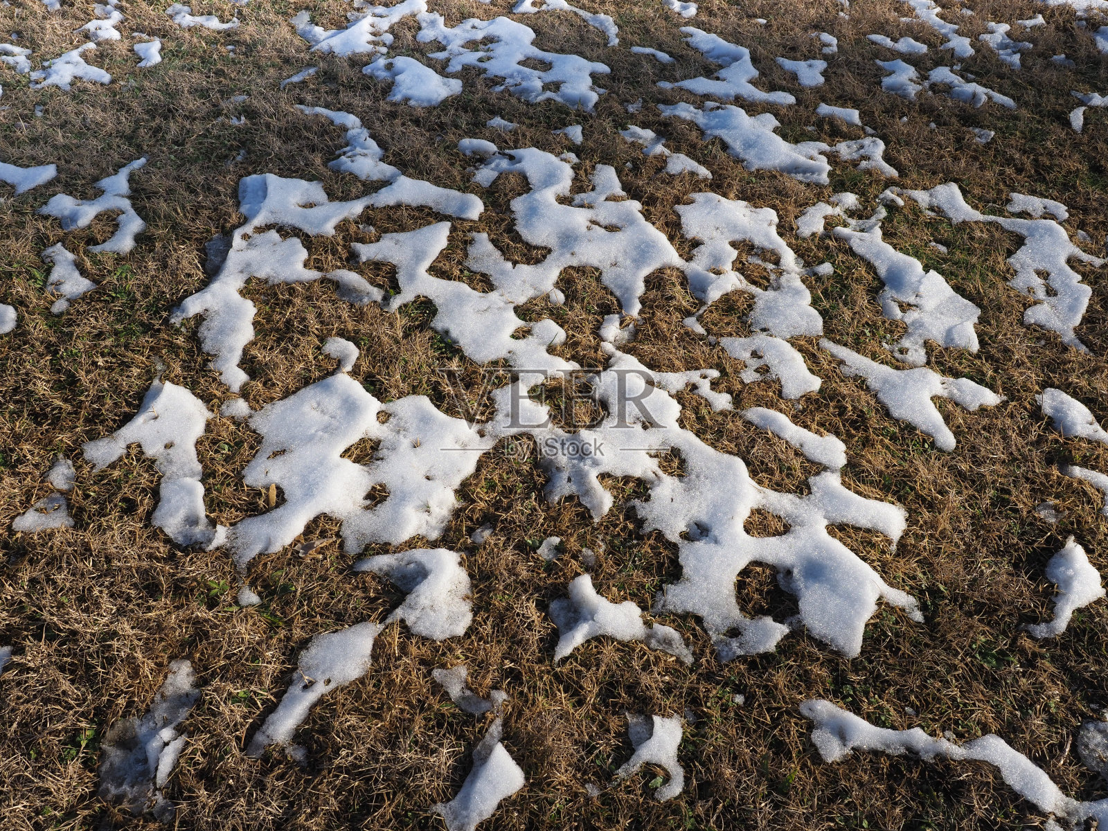 草上融雪照片摄影图片