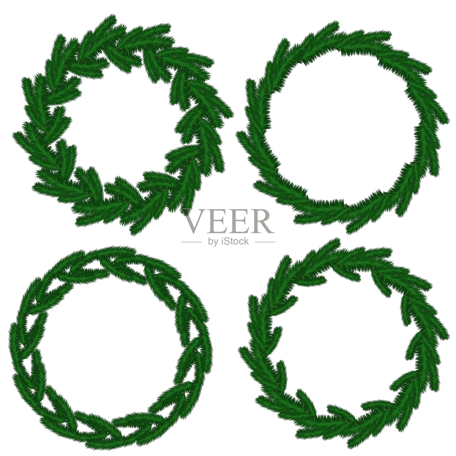 一套针叶树枝的花环,常绿植物的圆形框架为节日设计插画图片素材