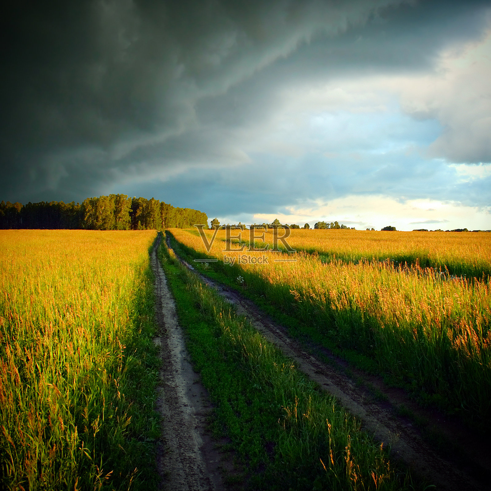 农田景观照片摄影图片