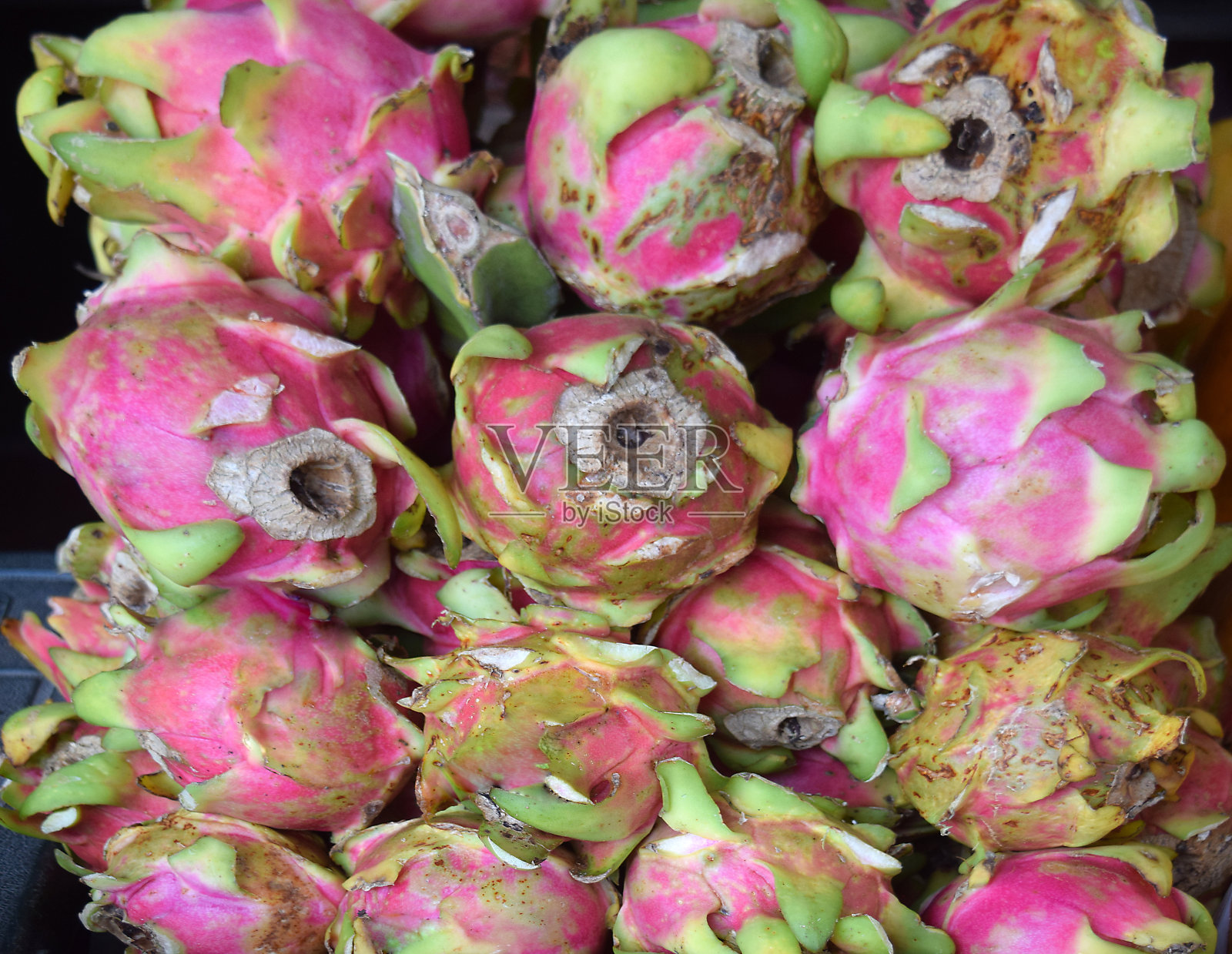 火龙果火龙果照片摄影图片