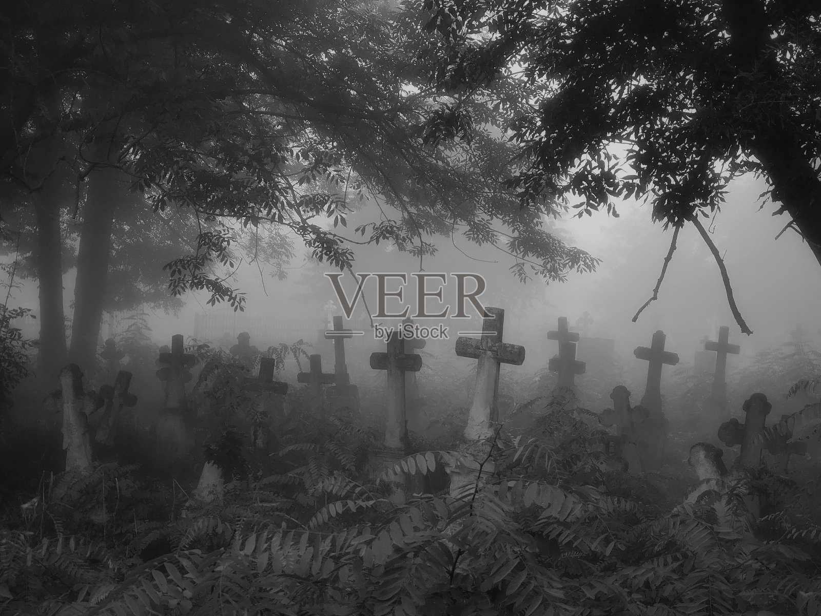 废弃的老墓地里有十字架和坟墓。照片摄影图片