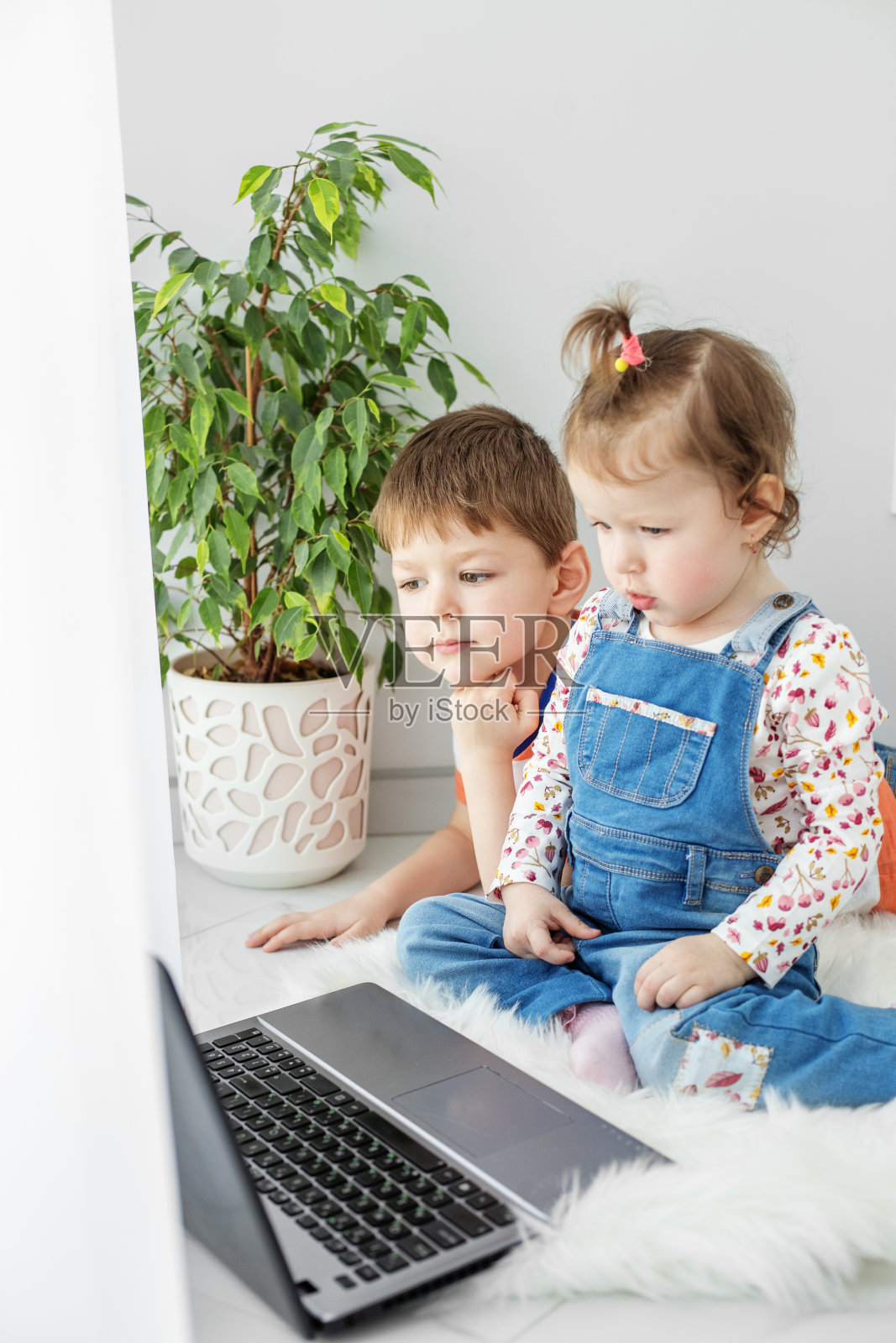 兄妹俩在网上看动画片。幼儿园的年龄。家庭、童年、网络和在线学习的概念。照片摄影图片