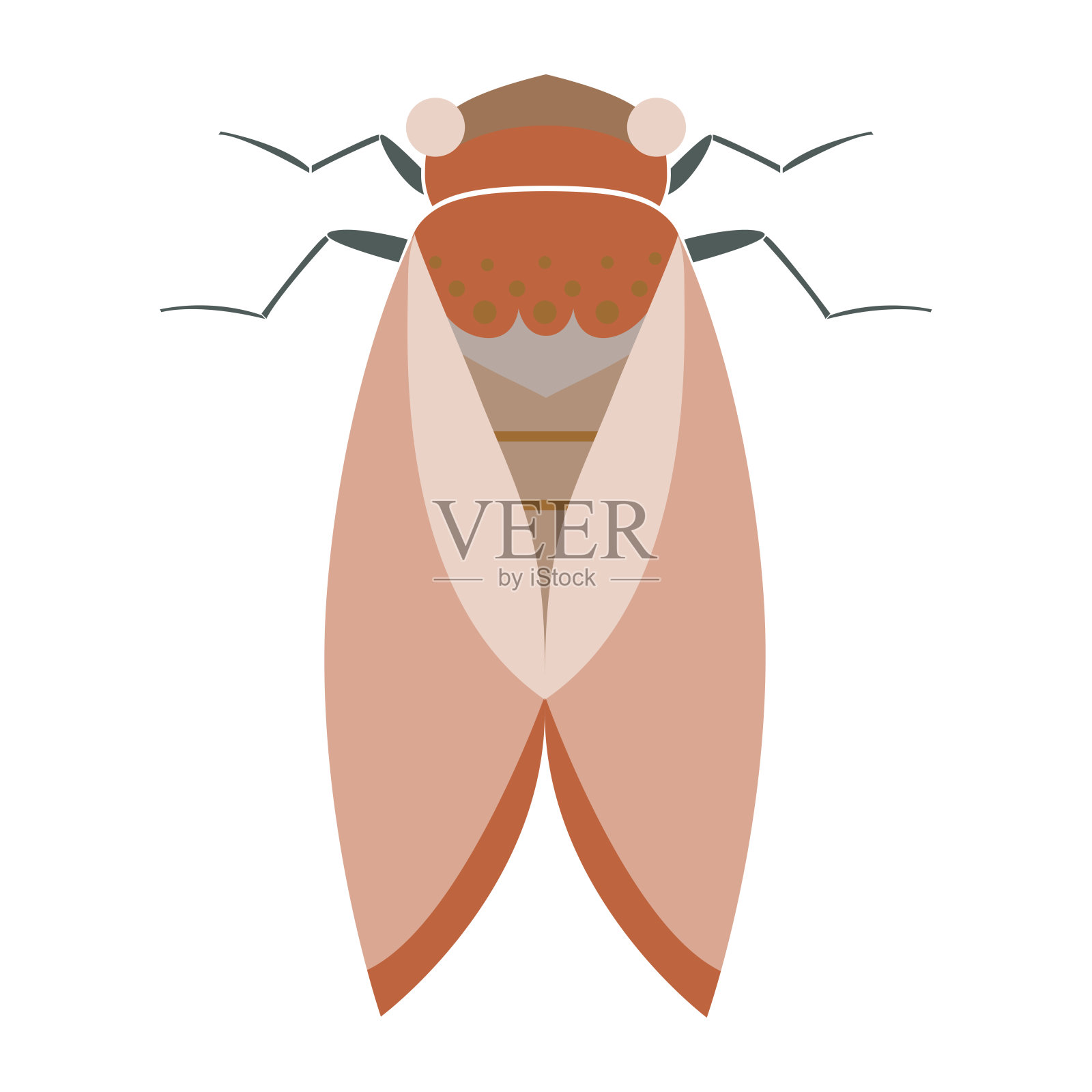 蝉虫几何昆虫矢量插图在平面风格设计元素图片