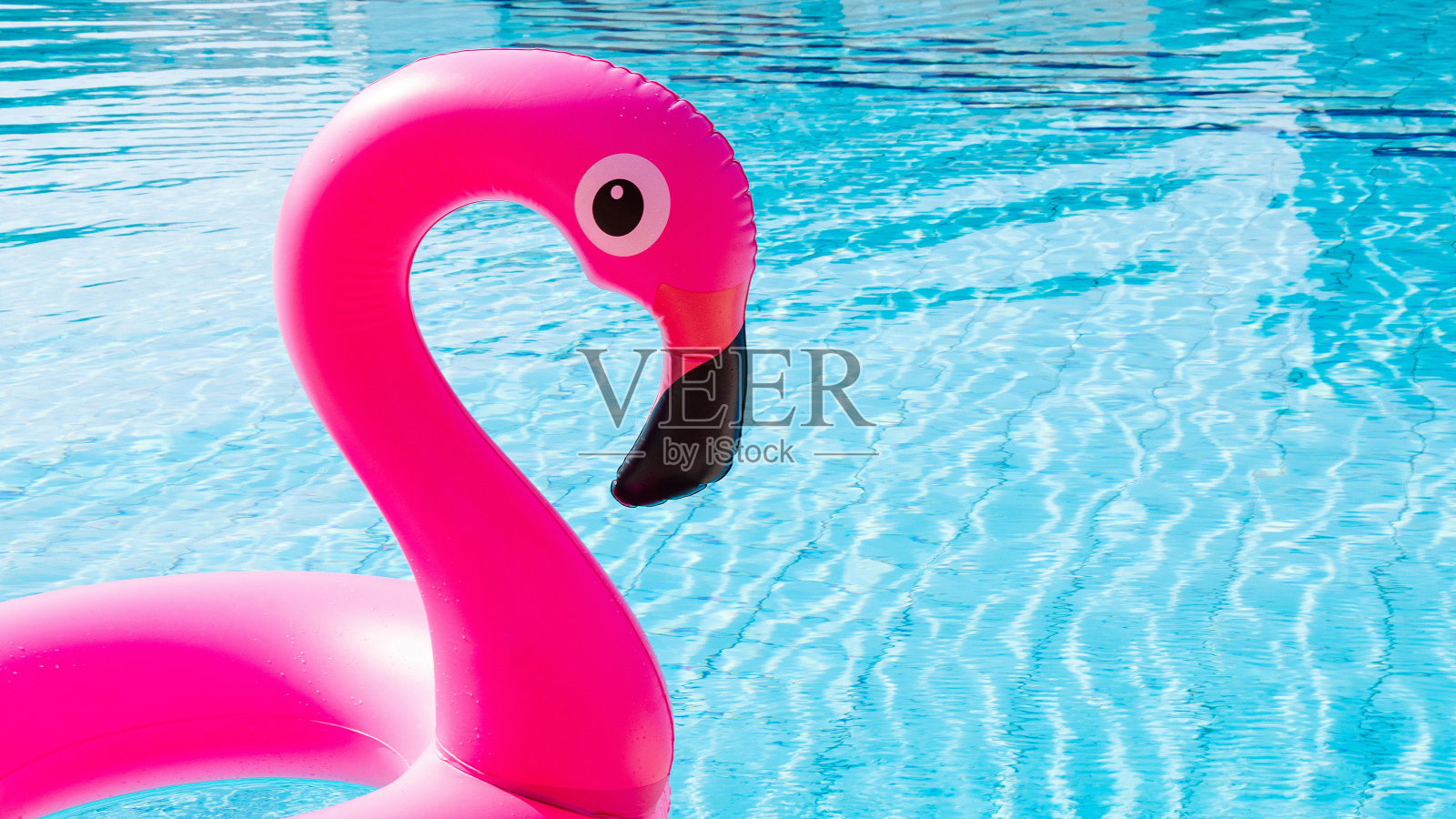塑料火烈鸟。粉红色充气火烈鸟在泳池水为海滩背景。时尚的夏天的概念。照片摄影图片