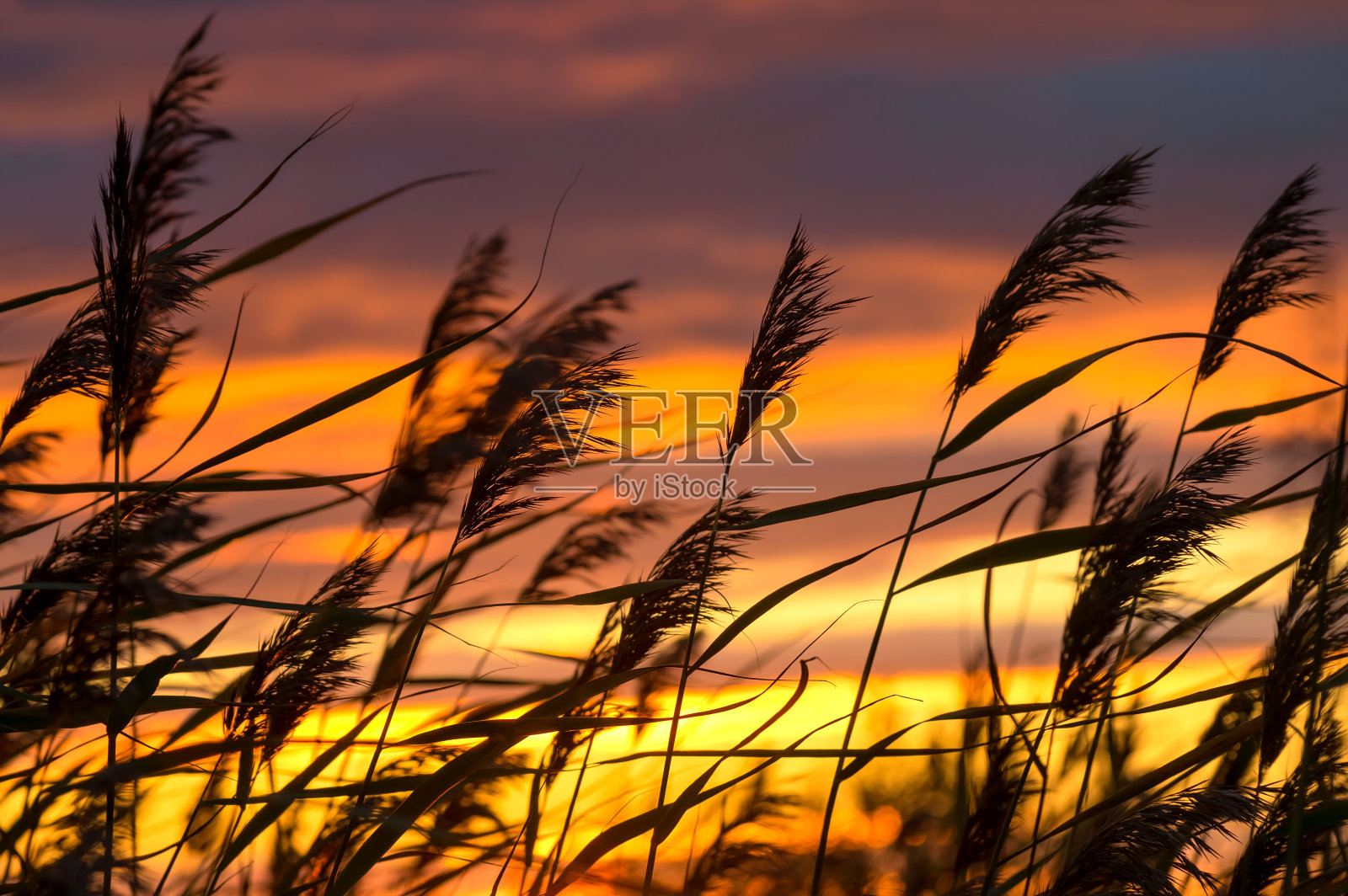 晚上的风景照片摄影图片