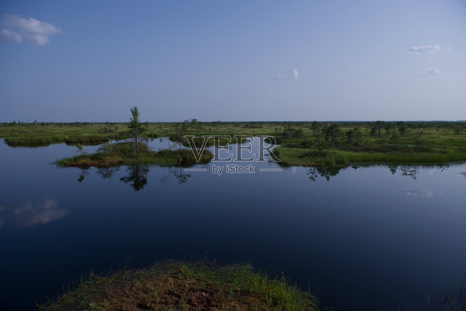 Elninskoe沼泽,白俄罗斯。埃尔宁斯基保护区的景观。保护区中央有一个美丽而干净的湖。沿着生态小径漫步,了解一个新的生态系统。swamp-lungs欧洲照片摄影图片