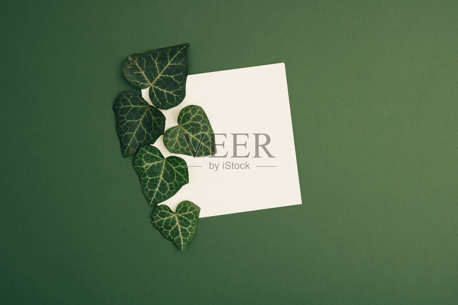 心形的叶子在纸卡片的背景。爱情人节或女人节的概念。最小的平铺自然。照片摄影图片