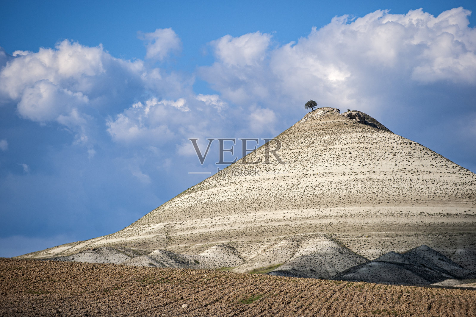 高山上的孤树照片摄影图片