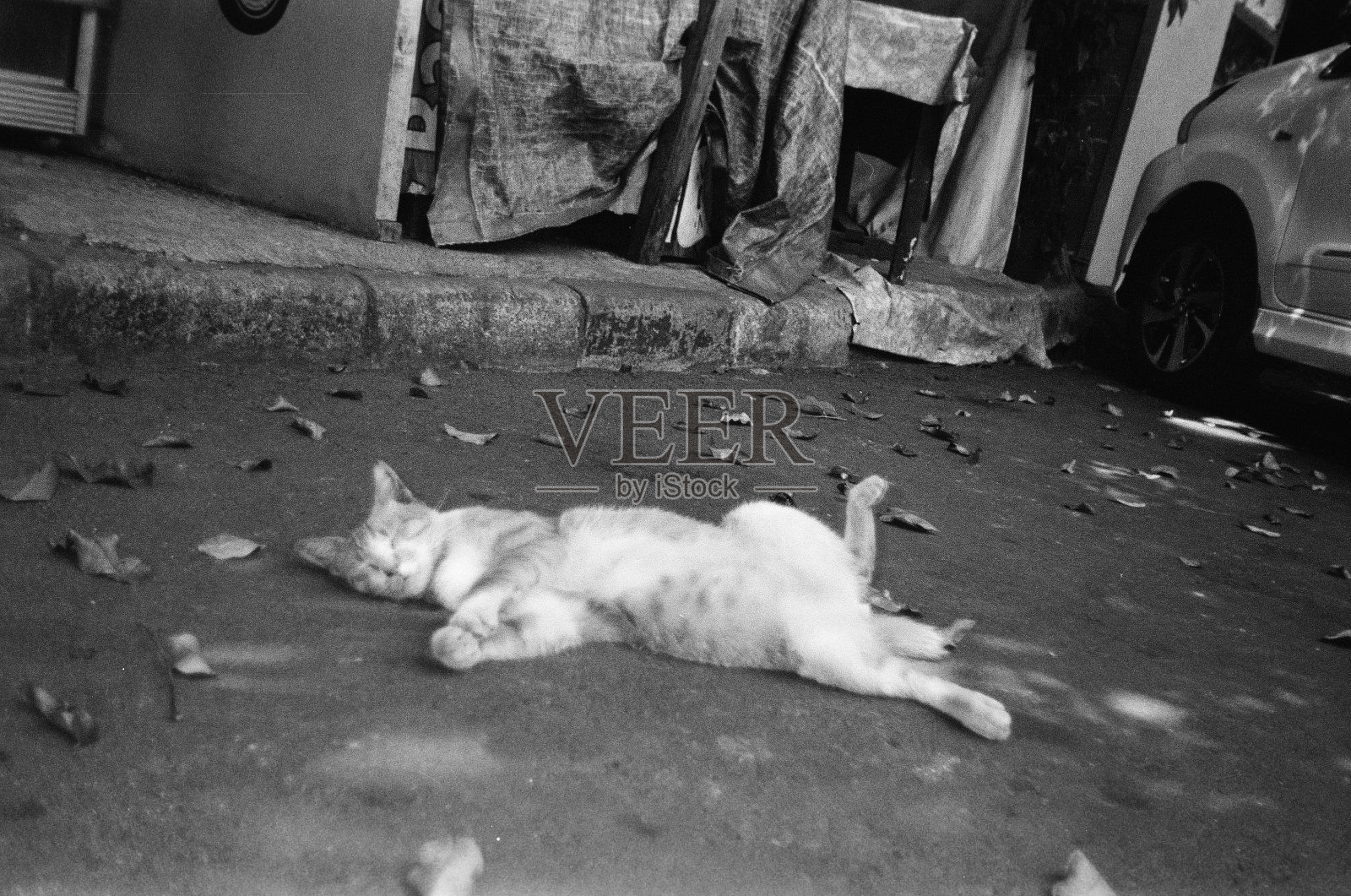 寒冷照片摄影图片