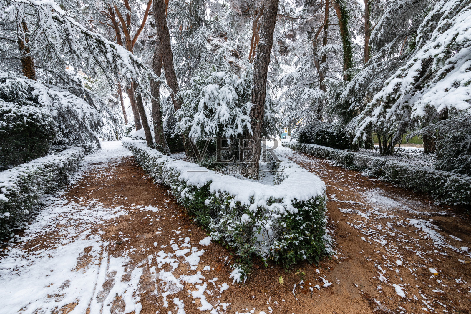 有雪的城市公园长椅和白色的树照片摄影图片